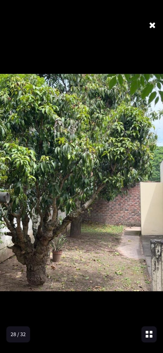3 Bedroom Property for Sale in Amalinda Eastern Cape